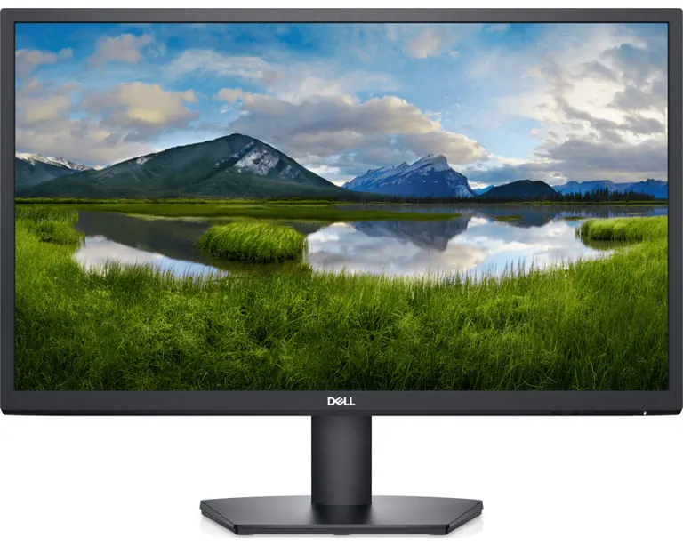 DELL SE2422H (210-AZGT)