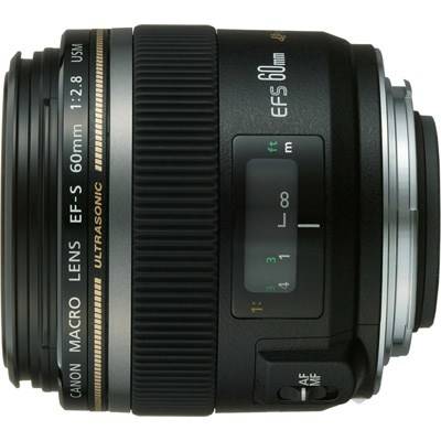 Canon EF-S 60mm f/2.8 Macro USM: съемка мелких объектов крупным планом