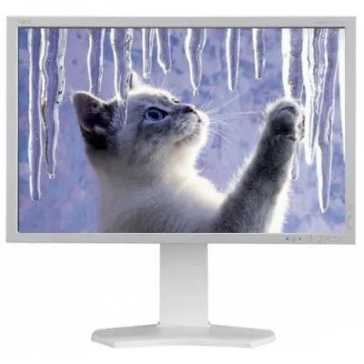 Монитор NEC PA241W