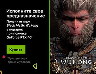 Игра Black Myth: Wukong в подарок